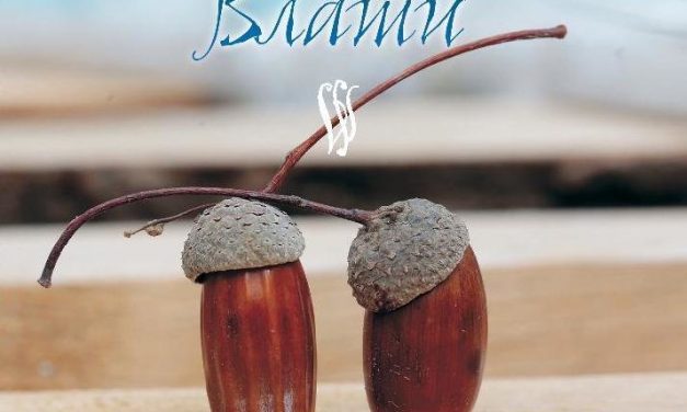 Vladimir Nikić – Vlati (2017)