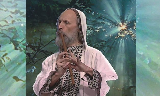 Dragomir Milenković i Hazari – Bogumili (2013)