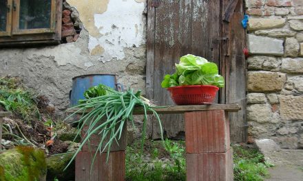 Izvrnuta torta: Svi moravski tamburaši