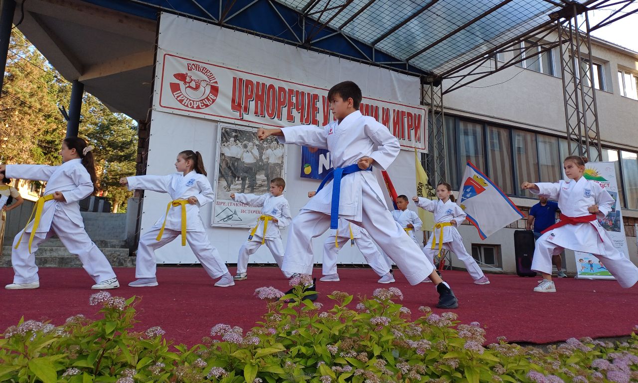 karate klub bor